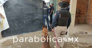Reportan cinco detenidos con armas de fuego en la zona del Mercado Independencia