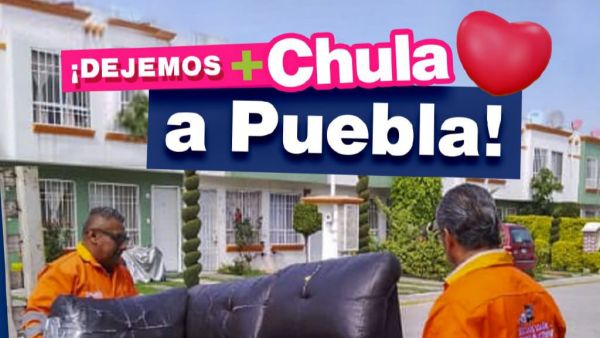 Dan servicio de descacharrizaci&oacute;n gratis