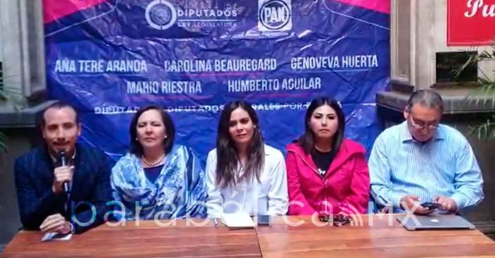 Siguen diputados panistas poblanos a la carga por el Plan B