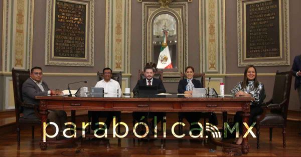 Promueven sancionar a quien da&ntilde;e animales por la quema de pirotecnia