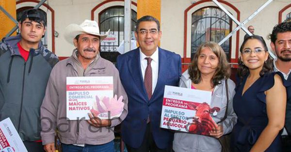 Beneficia gobierno del Estado a 217 municipios: Sergio Salom&oacute;n