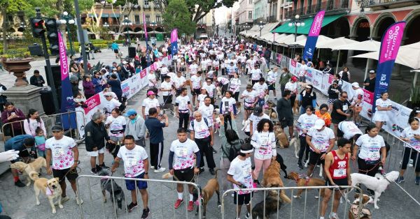 Asisten más de 500 competidores a la carrera &quot;Contigo y tus perritos”