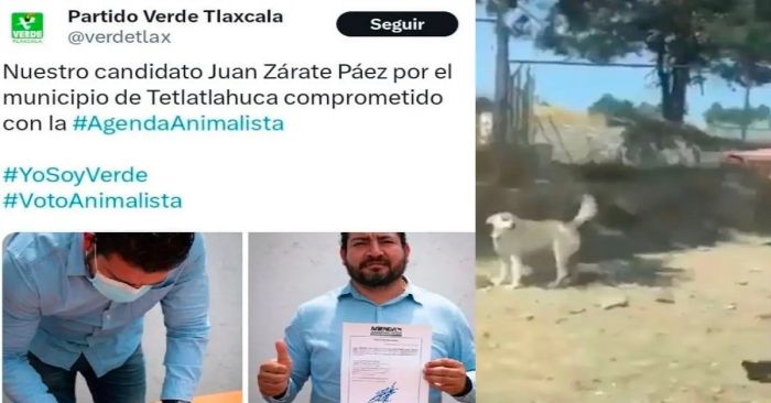 Acusan a excandidato del PVEM por matar a perro
