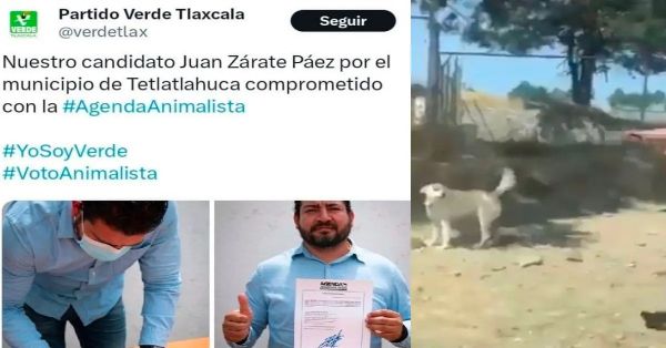 Acusan a excandidato del PVEM por matar a perro
