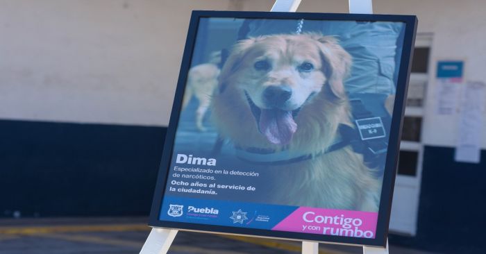 Rinden homenaje p&oacute;stumo a Dima, canino del &aacute;rea de narc&oacute;ticos