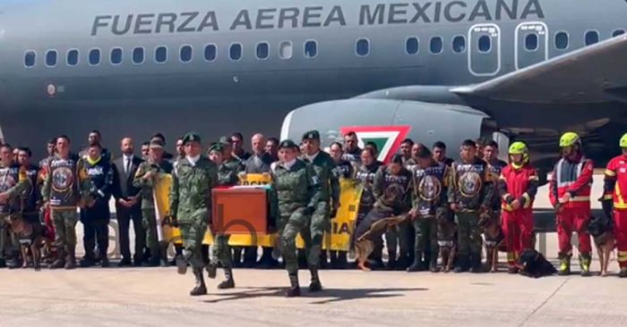 Invita Cruz Roja a recibir a rescatistas y caninos mexicanos que regresan de Turquía