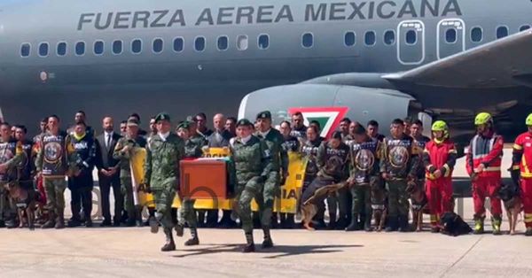 Invita Cruz Roja a recibir a rescatistas y caninos mexicanos que regresan de Turquía