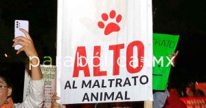 Encabezan colectivos manifestación contra el maltrato animal; hubo caos en la Vía Atlixcáyotl