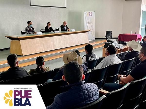 Mediante capacitaciones, impulsa SMT transición a modelo "Ruta-Empresa"