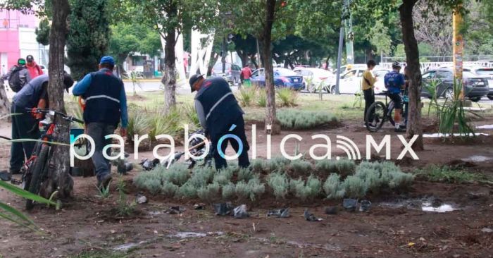 Desojan de la rotonda de la Fiscal&iacute;a a colectivo defensor de la marihuana