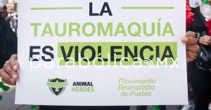 Aplauden colectivos freno a las Corridas de Toros en Puebla