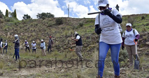 Pide Aquino voto de confianza en designaci&oacute;n de comisionado de B&uacute;squeda