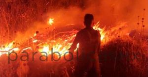 Tlachichuca y Tianguismanalco, los municipios más afectados por incendios forestales: Beatriz Manríque