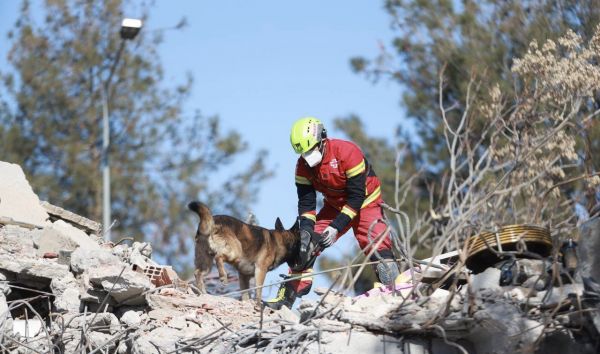 Con colecta anual, Cruz Roja certifica a h&eacute;roes caninos: Delegada