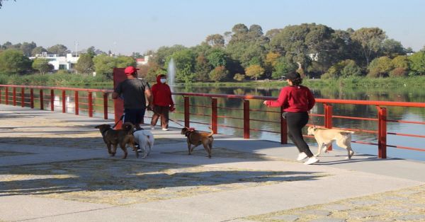 Realizar&aacute;n curso de adiestramiento canino gratuito