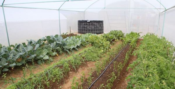De manera directa y gratuita, Bienestar entrega beneficios a familias de Huauchinango