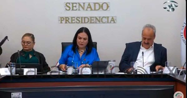 Aprueban Comisiones del Senado Plan B de AMLO, sin cláusula de vida eterna