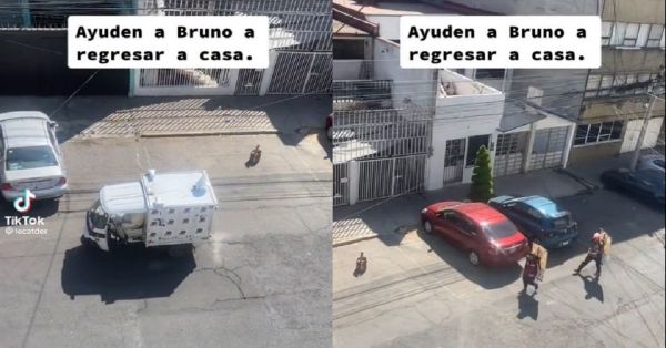 Sale familia con megáfono a llamar a su perrito: &#039;A comer, Bruno&#039;