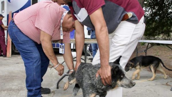 Lleva DIF m&aacute;s de 240 servicios municipales a Rosario La Huerta