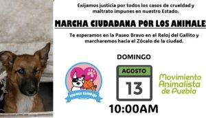 Responden con marcha al maltrato animal en Puebla