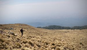 “Se trata de pensar en grande”, dice Armenta al iniciar actividades este 2024