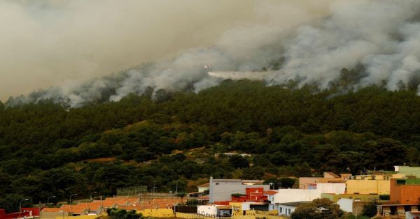 Consume incendio bosques de las Islas Canarias