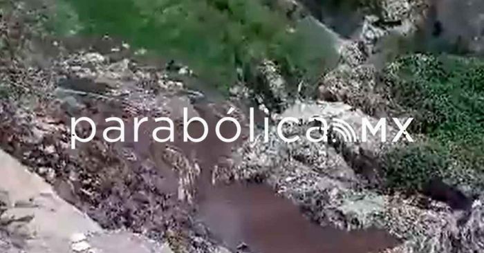 ¿Contaminación?