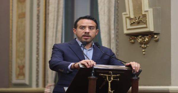 Proponen diputados considerar envenenamiento y quemaduras actos de crueldad animal