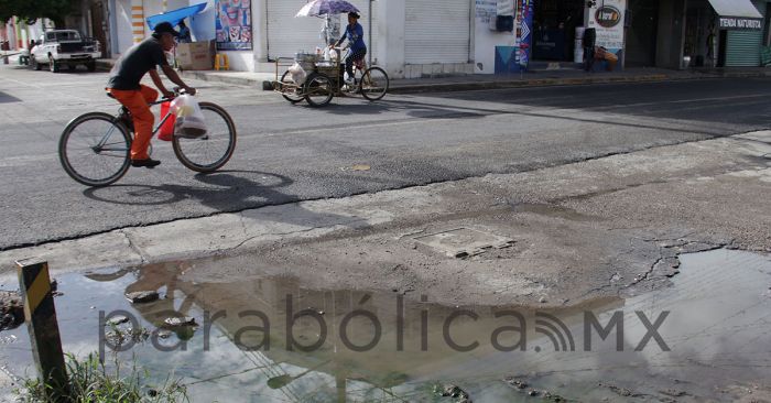 Pide IMSS reforzar medidas contra el dengue