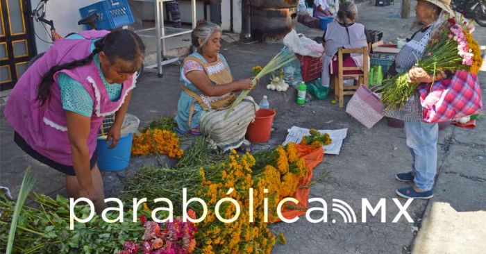 Protegen hogares en Atlixco con cruces de pericón