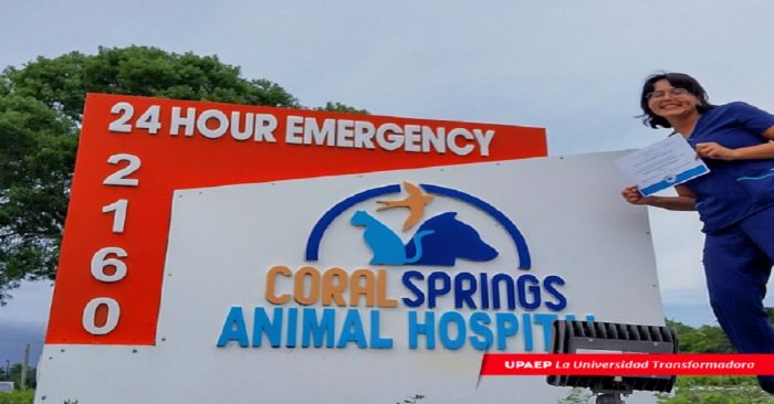 Realizan alumnos UPAEP Prácticas Profesionales en hospitales veterinarios de última generación