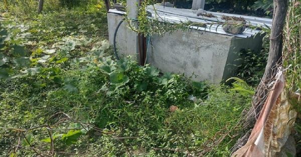 Lleva perro "macabro" regalo a su dueña en Huaquechula