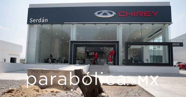 Tala concesionaria de autos Chirey &aacute;rboles sanos en Hermanos Serd&aacute;n