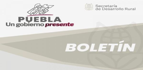 En Cinemateca “Luis Buñuel”, gobierno estatal exhibirá filmes nominados al premio Ariel 2023