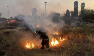Bomberos han atendido mil 223 incendios de pastizales en lo que va del año: SSP
