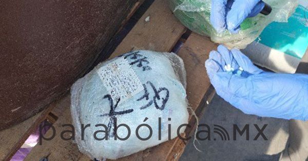 Destruye FGR más de siete toneladas de narcóticos en Sinaloa