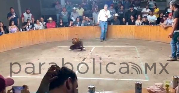 Interrumpe comando palenque en Guanajuato