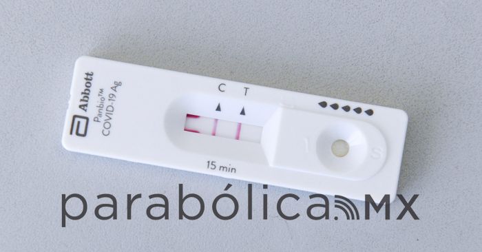 Hay 12 nuevos contagios por dengue