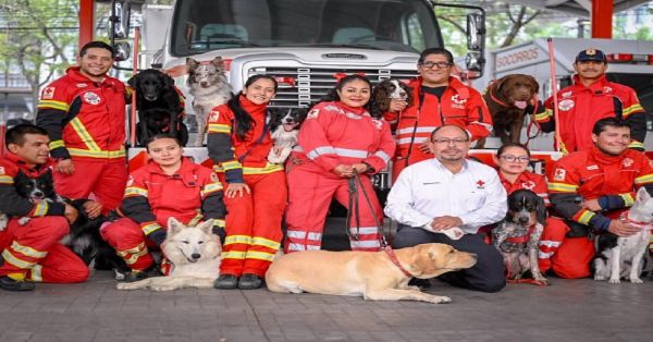 Abrir&aacute; Cruz Roja escuela para entrenar a perros rescatistas