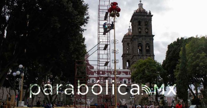 Afinan detalles para el encendido del árbol navideño en la capital