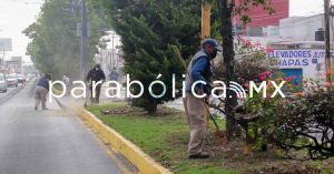 Arranca ayuntamiento maratón de servicios de limpia en la Diagonal