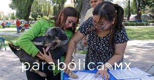 Entregan actas de nacimiento para mascotas en San Pedro Cholula
