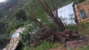 Dejan lluvias casas dañadas en Zoquitlán