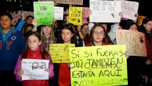 Protestan animalistas de Puebla en la explanada del CIS