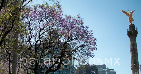 Sacude microsismo la alcaldía Álvaro Obregón en CDMx
