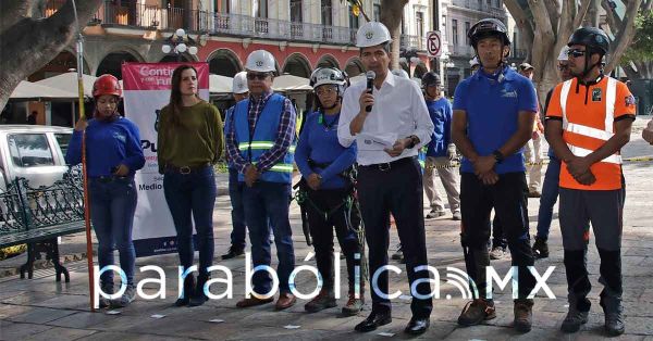 Supervisa Eduardo Rivera trabajos de poda de &aacute;rboles en el Z&oacute;calo