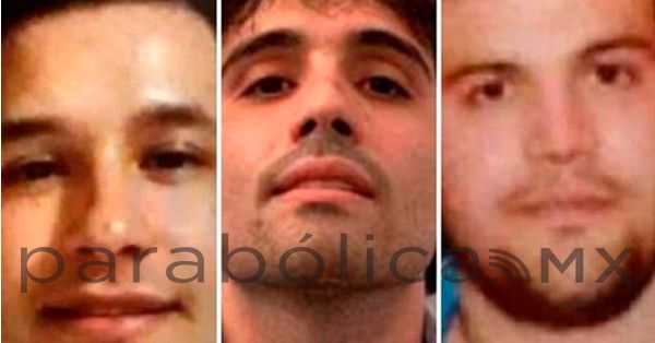 Se deslindan “Chapitos” de producción y comercialización de fentanilo en carta a la DEA