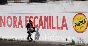 Mantiene PT campaña de afiliación, explica Nora Merino pinta de bardas