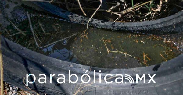 Mantiene Puebla 3 mil 83 casos acumulados de dengue