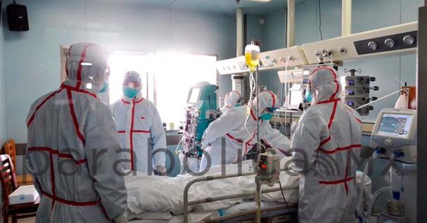 Confirma OMS muerte por gripe aviar H3N8 en China